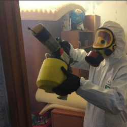 Уничтожение клопов в квартире. Калининград